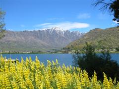 Queenstown hike