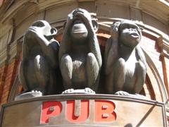 monkey pub