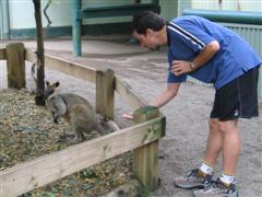 Erik feeds a wallaby