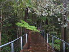 elevated hiking path