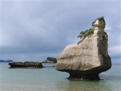 Cathedral Cove