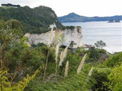 View of Cathedral Cove from hiking path