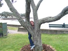 Shannon in a tree