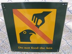 Do not feed the Kea