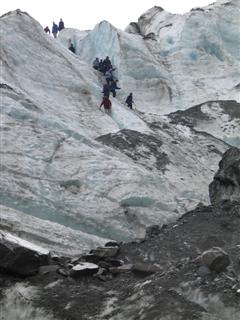 Franz Josef Glacier