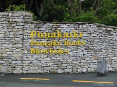 Punakaiki - Pancake rocks - Blowholes