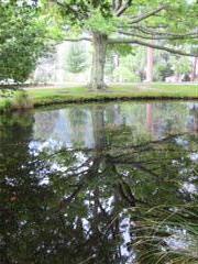 reflecting pond