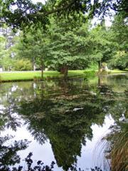 reflecting pond