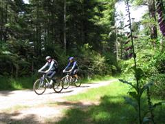 Shannon and Tim on fireroad