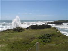 Paparoa coastline