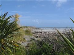 View from the campervan